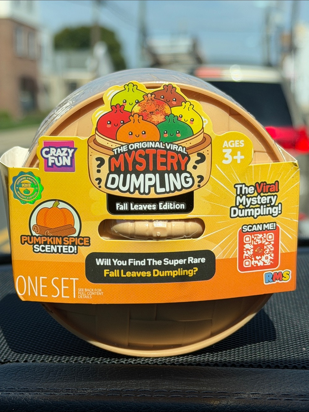 RMS Mystery Dumpling Fall Leaves Edition - Pumpkin Spice Scented (Orange)